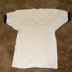 VTG Sigma Pi Fraternity Eagle USA Embroidered Shirt Sz M
