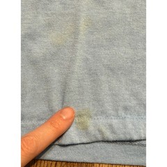 Mens Shirt Men’s Medium? Red Blue Green I’m Delicious Bayfield Apple Festival