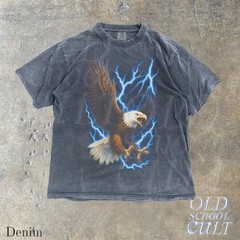 Bald Eagle Vintage Style Graphic Comfort Tee Patriotic Bird Gift
