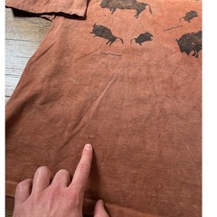 Vtg Andrea Bragg Designs 90’s Distressed Buffalo Graphic Tee Size XXL