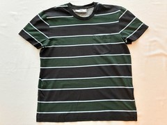 AMI Paris Blue and Green Striped T-shirt