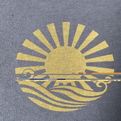 Rare Mollusk California Surfboards Sun Icon Shirt Large Surfer Gray Vintage