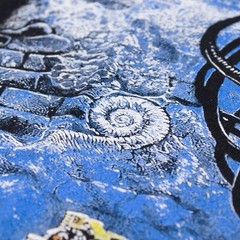 Sepultura T-Shirt, Chaos A.D. (1993). Groove Metal, Thrash Metal.