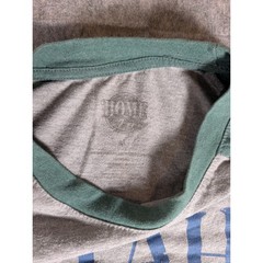 Home State Apparel Utah The Beehive State Raglan Long Sleeve Shirt Gray Green