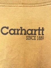Carhartt Shirt Mens XXL Brown Cotton Spell Out Arm Graphic Work Wear Classic