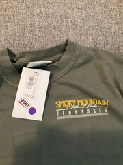 Comfort Colors Mens Smoky Mountain National Park T-Shirt M Green Walk-in Graphic