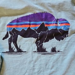 Patagonia Men’s M Blue Long Sleeve Crew Neck Graphic Logo Responsibili-Tee