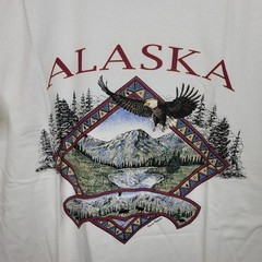 VTG Alaska Nature T Shirt XL White Gildan Bald Eagle Mountain Graphic Souvenir