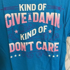 Delta Pro Weight Funny Graphic T-Shirt Adult Small Blue “Kind of Give a Damn”