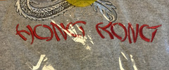 Hong Kong Embroidered Dragon Souvenir Tee Gray Crewneck T-Shirt Size XL New