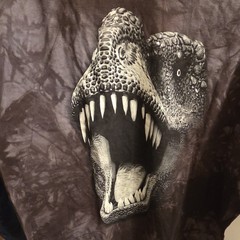 The Mountain Glow in The Dark Dinosaur Cotton Crew Tee Dark Gray Tie-dye 4XL New