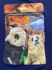 Panda Cat Shirt Adult Large It’s Pandemonium Its Catastrophy Face Swap Funny Men