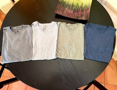 Fresh Clean Threads – Crew Neck & V Neck / Lot of 4 Shirts (Medium Tall)