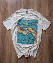 Vintage Princess Cruises “Panama Canal” T-Shirt — 1994