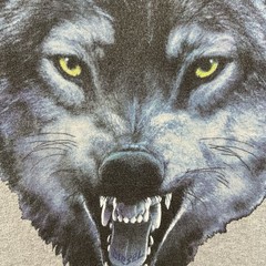 Diesel Shirt Mens Large Gray Short Sleeve Crewneck Nature Wolf Graphic Tee Top