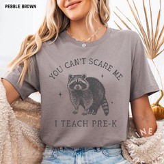 You Cant Scare Me I Teach Pre K Shirt Funny Raccoon Teacher Back To School Tee