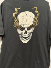 WWE Wrestlemania 39 Stone Cold Steve Austin Hollywood 3:16 Gold Print Size XL