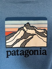 Patagonia Men’s T-Shirt Blue L Graphic Pocket Crew Neck Short Sleeve
