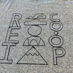 REI Co-op Blue Graphic Stretch T-Shirt Men’s M Outdoor Performance
