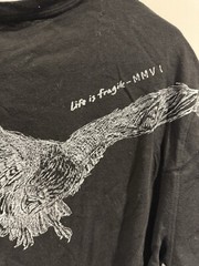 👕 Express 🦅 Mens Large Black Tee T-shirt EST-MMVI “Life is fragile”