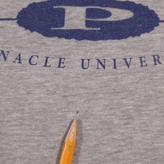 Pinnacle University Alumni Shirt Mens Medium Sleeveless Cutoff Tee Hanes Sports