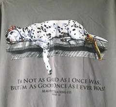 Vintage Y2K Pirate Sea Dog T Shirt Mens 3XL Gray Cotton Dalmatian Graphic Tee
