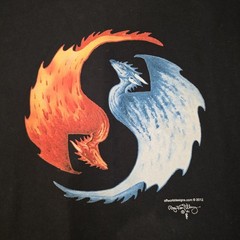 Raymond VanTilburg Art Off World Designs Flying Dragons Black Tee Tshirt XL