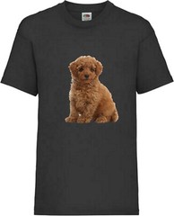 Toy Poodle Brown Dog Pet Family Novelty T Shirt Various Colours And Sizes