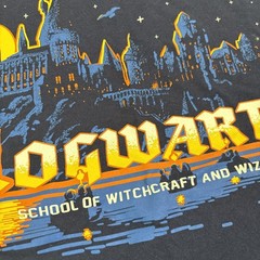 Harry Potter School Of Witchcraft And Wizardry Castle 100% Cotton Shirt Size L