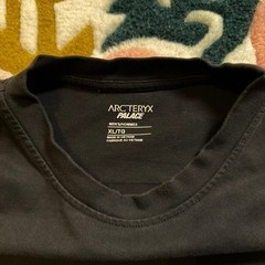 Arcteryx Palace T-Shirt Mens XL Black Tri-Ferg Logo Gorpcore Streetwear Tee
