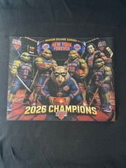 knicks T-Shirts Champions Mulitple designs. All Sizes S-3x