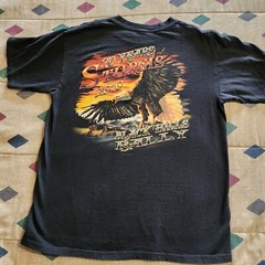 Anvil Size Large Sturgis 2010 Motorcycle Black Hills Rally Biker Tee T Shirt