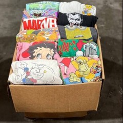 T-Shirt RANDOMS / Shirt / Tees Mix Box Lot Bundle Wholesale ( 30 Items )