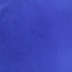 Polo Ralph Lauren Shirt Mens Medium Blue 69 Graphic Long Sleeve Crewneck Tee