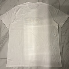 Polo Ralph Lauren Big and Tall Men’s T-Shirt White Green Yellow New